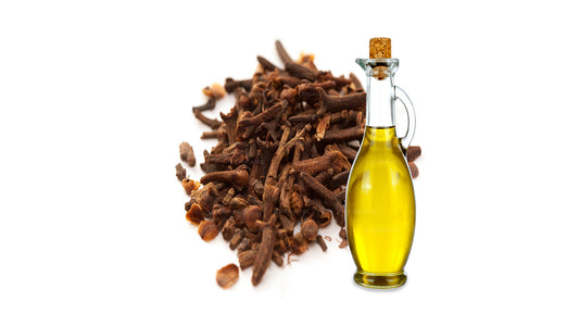 Lakpura Clove Stem Oil (20ml)