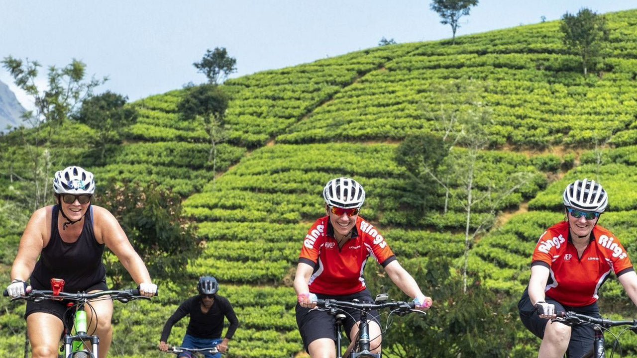 Nuwara Eliya Highlands Cycling Tour from Kandy